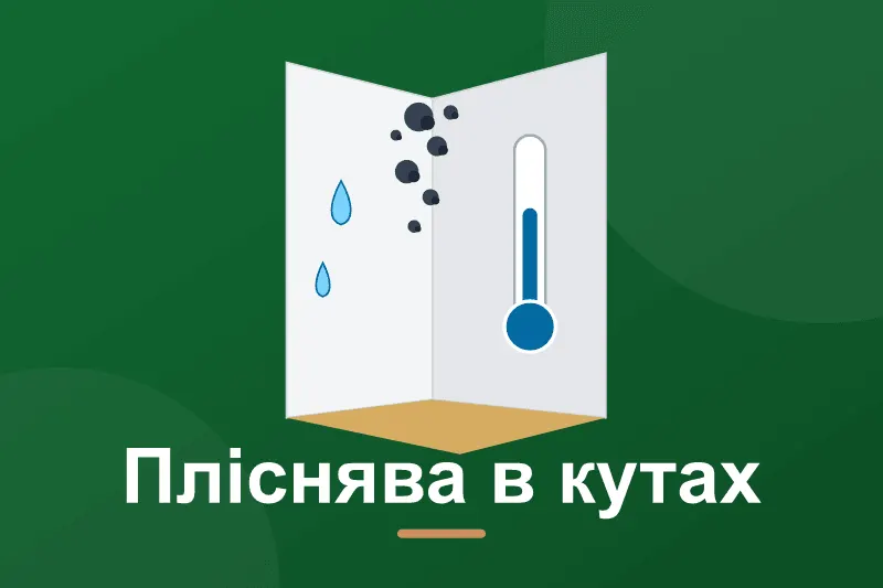 Пліснява в кутах квартири взимку: чому і що робити