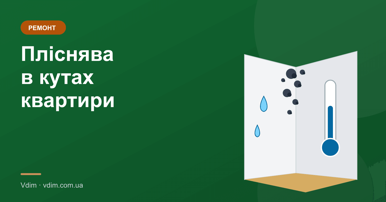 Пліснява в кутах квартири взимку: чому і що робити