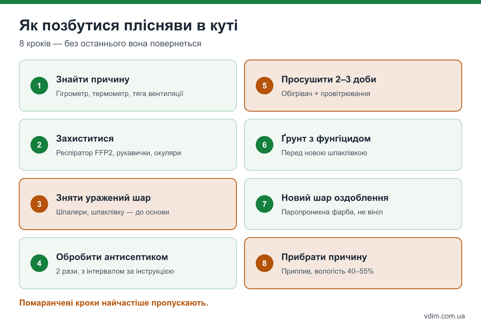 Інфографіка: 8 кроків видалення плісняви в куті — від пошуку причини до нового оздоблення