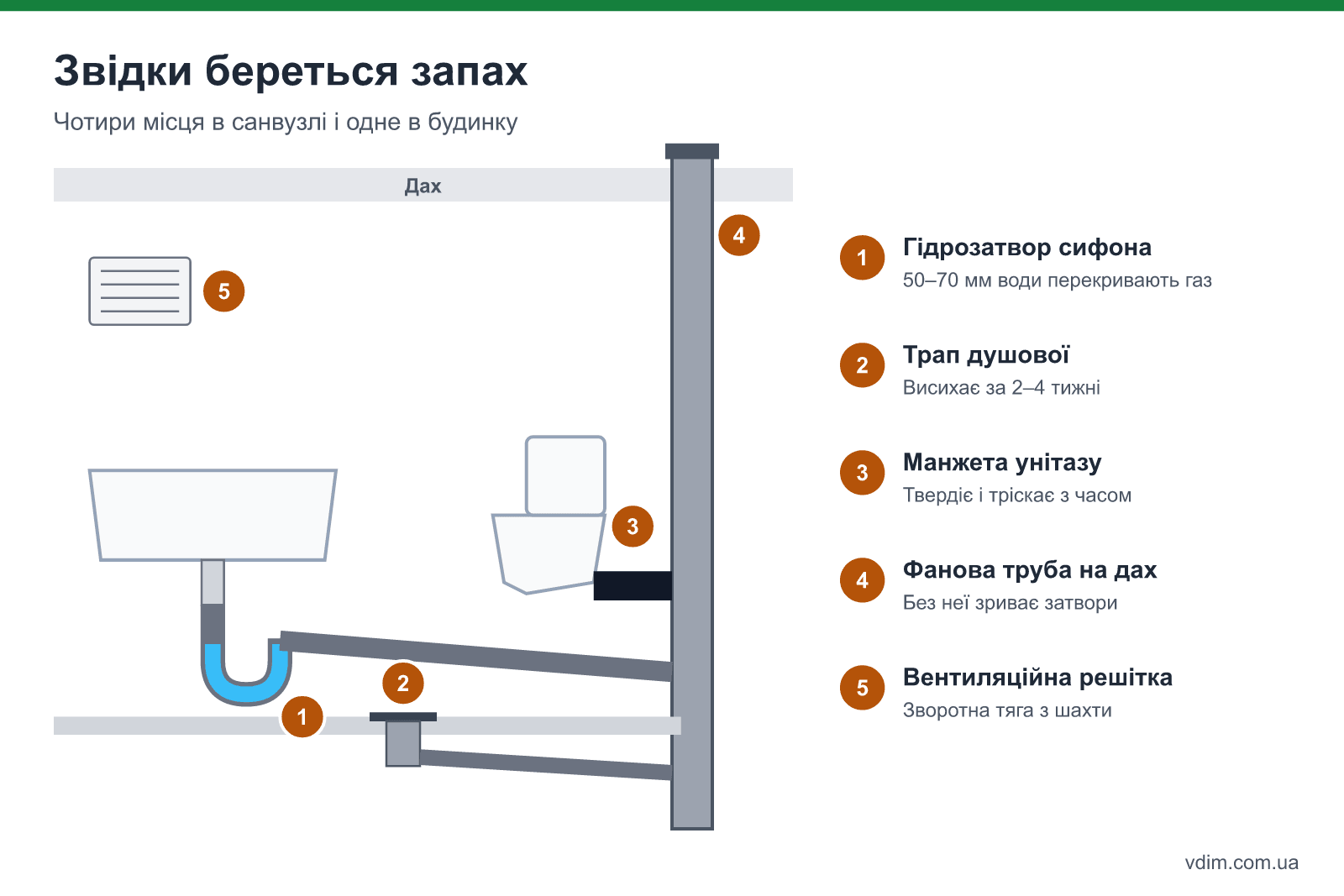 Як працює гідрозатвор: шар води в сифоні, фанова труба на дах і чотири місця, де з'являється запах